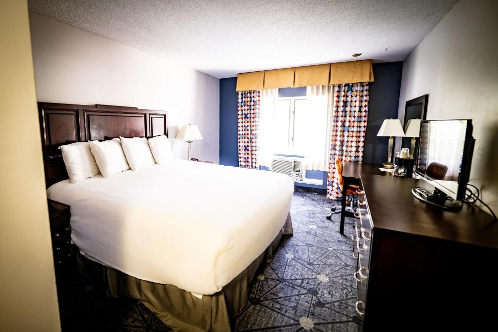 Deluxe King Suite interior
